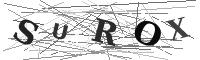Please refresh your browser to see this image.